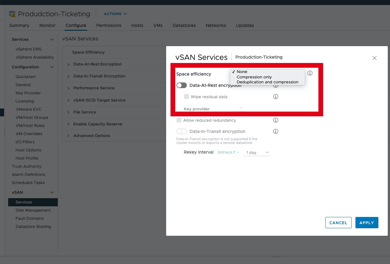 vSAN Services